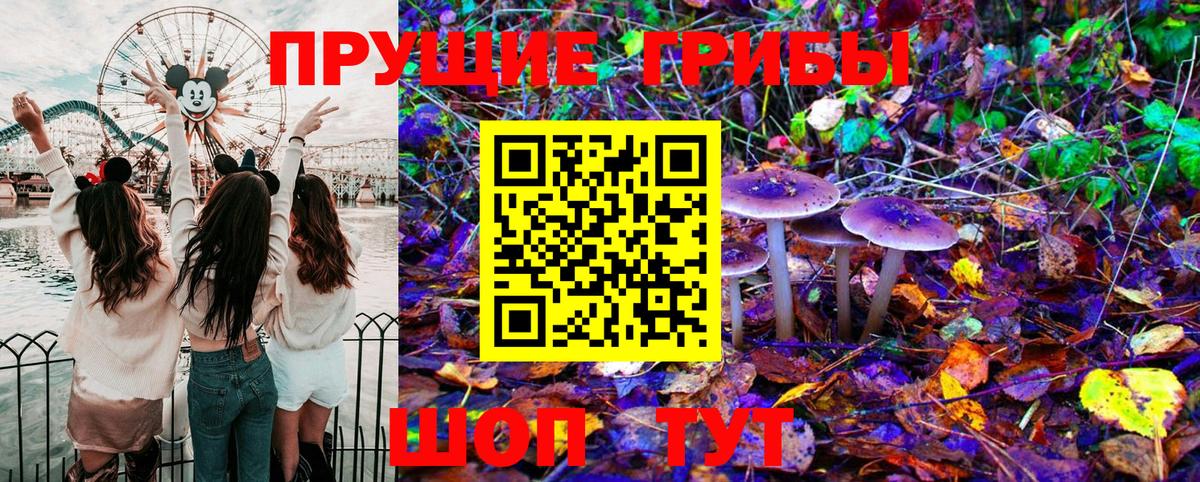 Галлюциногенные грибы GOLDEN TEACHER  Вход с VPN  Альметьевск 